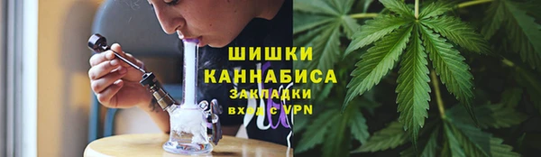 альфа пвп Горнозаводск