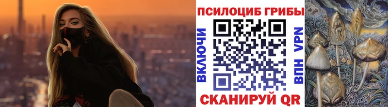 сколько стоит  MEGA онион  Псилоцибиновые грибы мухоморы  площадка Telegram  Каменск-Шахтинский 