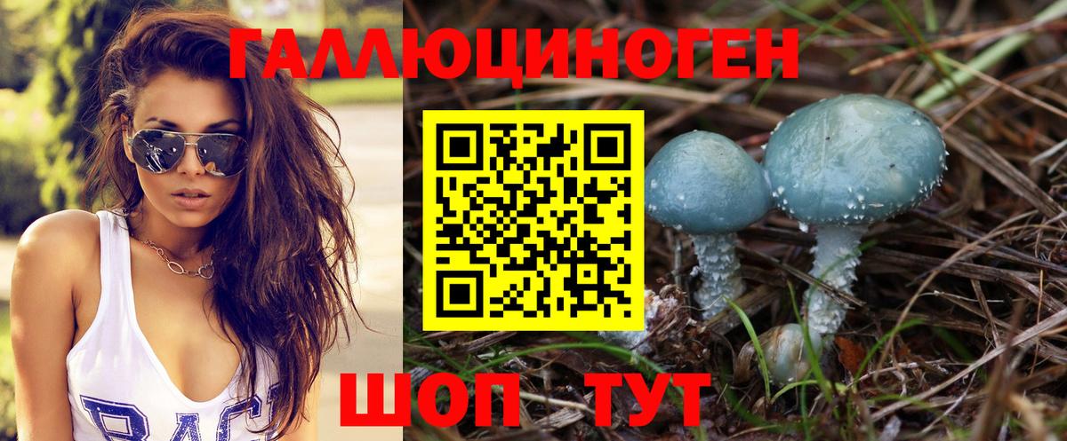 Галлюциногенные грибы мицелий  Вход с VPN  Каменск-Шахтинский  Псилоцибиновые грибы прущие грибы 